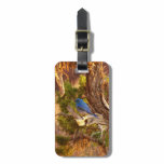 Mountain Bluebird at Arches National Park Luggage Tag