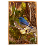 Mountain Bluebird at Arches National Park Medium Gift Bag