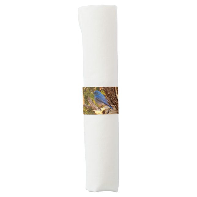 Mountain Bluebird at Arches National Park Napkin Bands (Front)