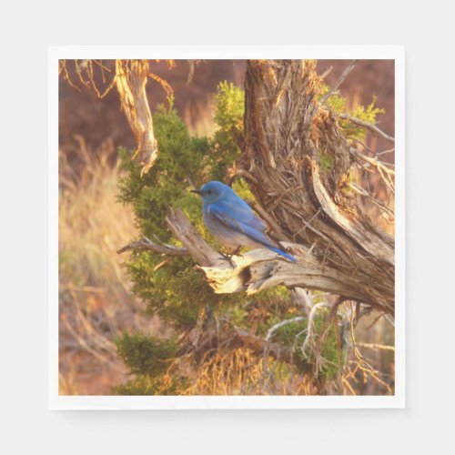 Mountain Bluebird at Arches National Park Napkins