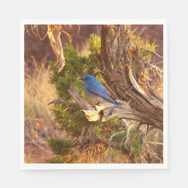 Mountain Bluebird at Arches National Park Napkins (Front)