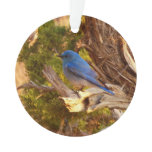 Mountain Bluebird at Arches National Park Ornament