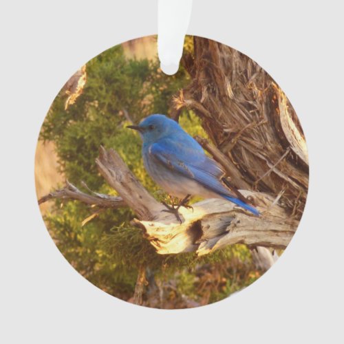 Mountain Bluebird at Arches National Park Ornament