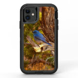 Mountain Bluebird at Arches National Park OtterBox Defender iPhone 11 Case