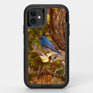 Mountain Bluebird at Arches National Park OtterBox Defender iPhone 11 Case