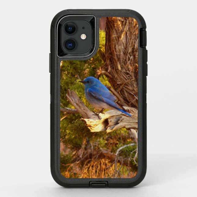 Mountain Bluebird at Arches National Park Otterbox iPhone Case (Back)