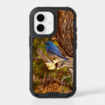 Mountain Bluebird at Arches National Park iPhone 17 Case