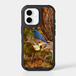 Mountain Bluebird at Arches National Park iPhone 17 Case