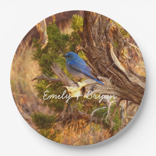 Mountain Bluebird at Arches National Park Paper Plates