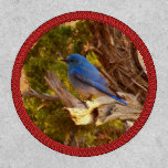 Mountain Bluebird at Arches National Park Patch