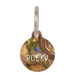 Mountain Bluebird at Arches National Park Pet ID Tag
