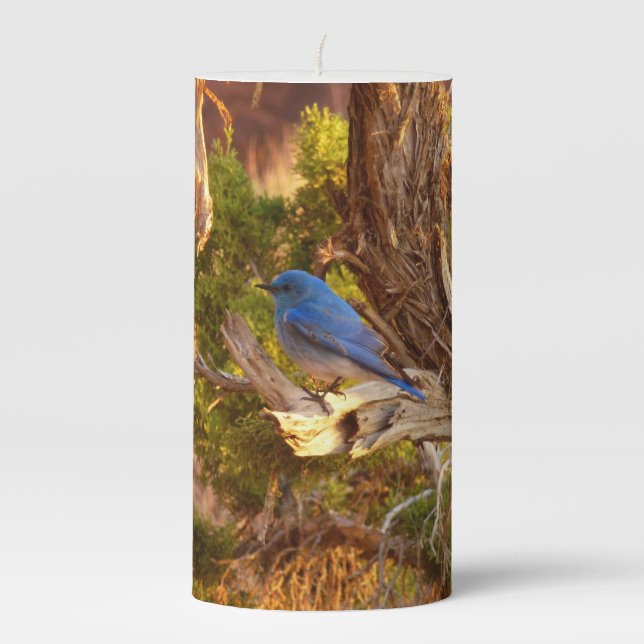 Mountain Bluebird at Arches National Park Pillar Candle (Front)