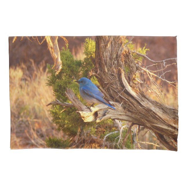 Mountain Bluebird at Arches National Park Pillow Case (Front)