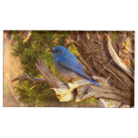 Mountain Bluebird at Arches National Park Place Card Holder