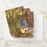 Mountain Bluebird at Arches National Park Pocket Folder