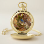Mountain Bluebird at Arches National Park Pocket Watch