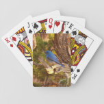 Mountain Bluebird at Arches National Park Poker Cards