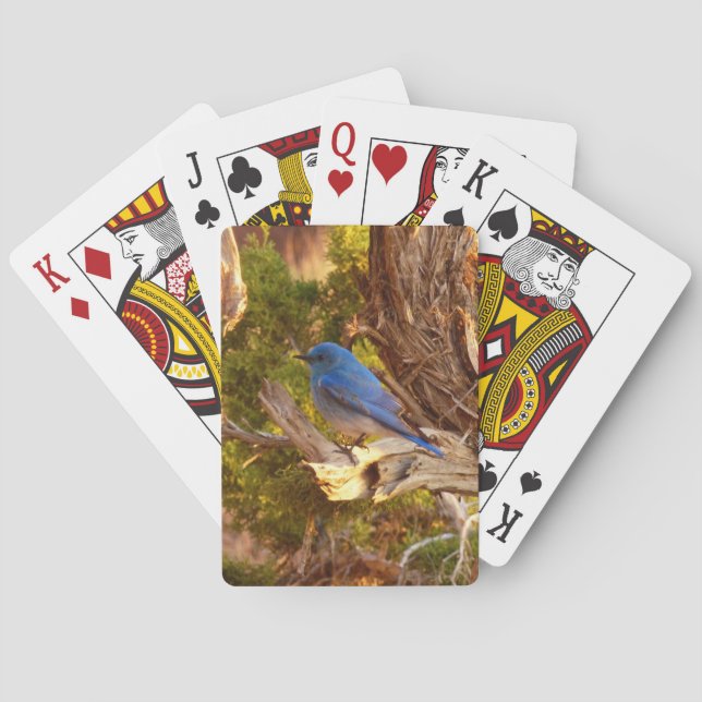 Mountain Bluebird at Arches National Park Poker Cards (Back)