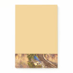 Mountain Bluebird at Arches National Park Post-it Notes