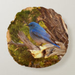 Mountain Bluebird at Arches National Park Round Pillow