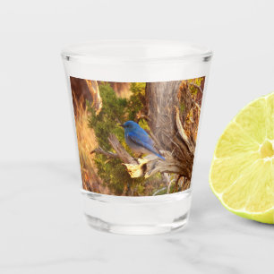 Mountain Bluebird at Arches National Park Shot Glass