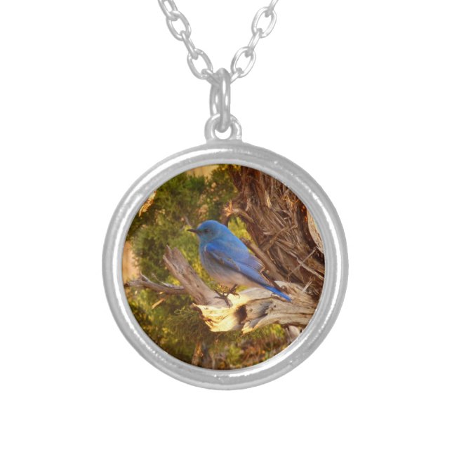 Mountain Bluebird at Arches National Park Silver Plated Necklace (Front)