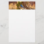 Mountain Bluebird at Arches National Park Stationery