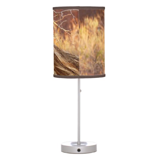 Mountain Bluebird at Arches National Park Table Lamp (Back)