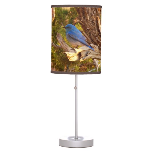 Mountain Bluebird at Arches National Park Table Lamp (Front)