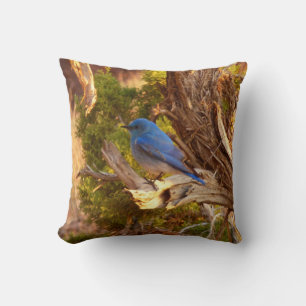 Mountain Bluebird at Arches National Park Throw Pillow