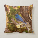 Mountain Bluebird at Arches National Park Throw Pillow