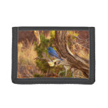 Mountain Bluebird at Arches National Park Trifold Wallet