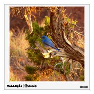 Mountain Bluebird at Arches National Park Wall Decal