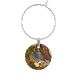 Mountain Bluebird at Arches National Park Wine Charm