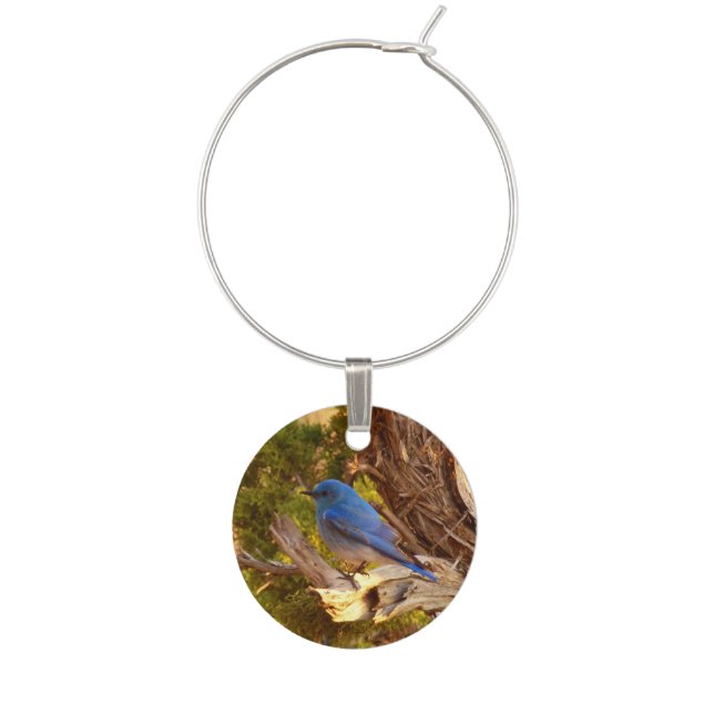 Mountain Bluebird at Arches National Park Wine Charm (Front)