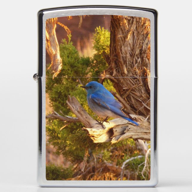 Mountain Bluebird at Arches National Park Zippo Lighter (Front)