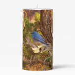 Mountain Bluebird at Arches Pillar Candle