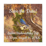 Mountain Bluebird at Arches Save the Date