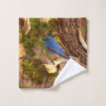 Mountain Bluebird at Arches Wash Cloth