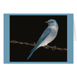 Mountain Bluebird Card