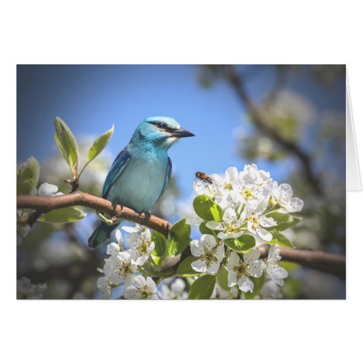 Mountain Bluebird Cards (Front Horizontal)