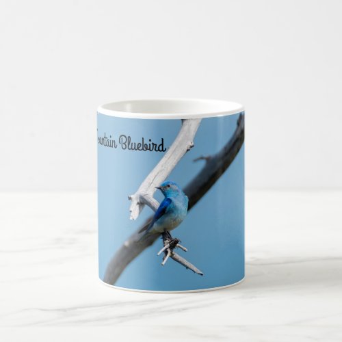 Mountain Bluebird Coffee Mug