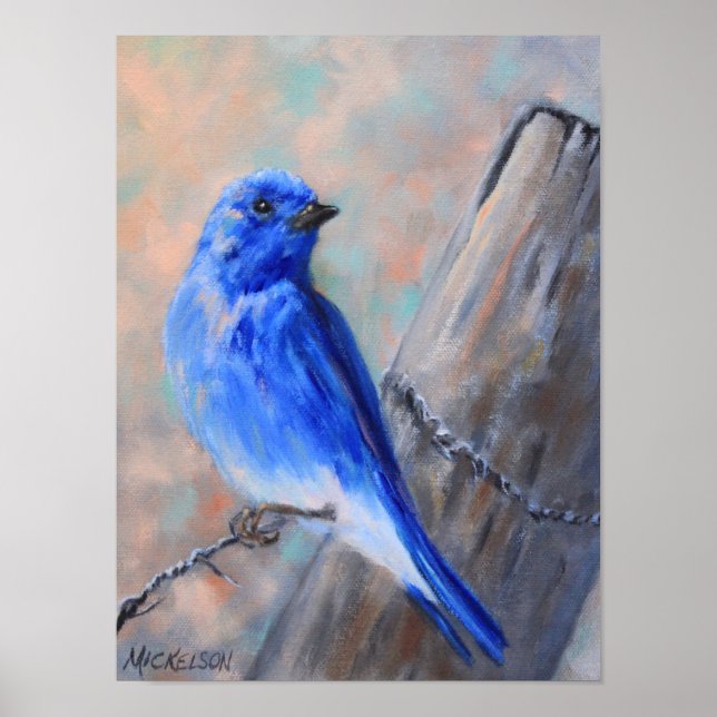 Mountain Bluebird Fine Art Poster (Front)