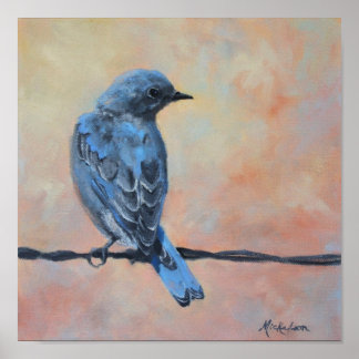 Mountain Bluebird Fine Art Print