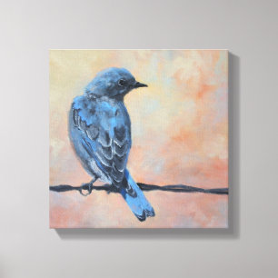 Mountain Bluebird Fine Art Wrapped Canvas Print