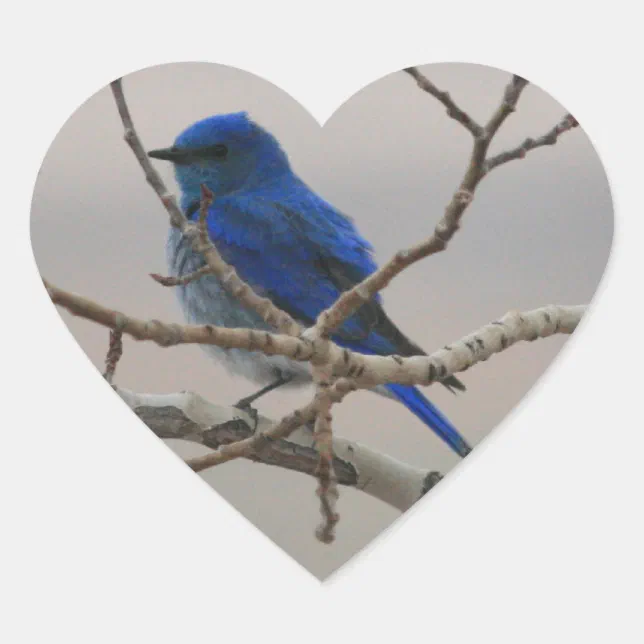 Mountain Bluebird Heart Sticker Zazzle