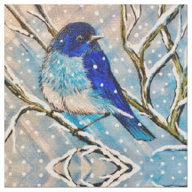 Mountain Bluebird in Snow