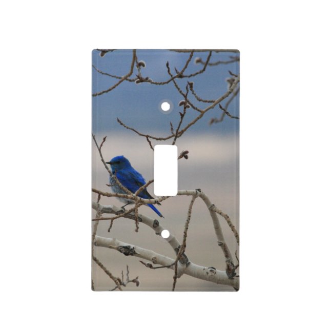 Mountain Bluebird Light Switch Cover (Front)