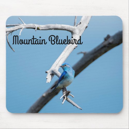 Mountain Bluebird Mouse Pad