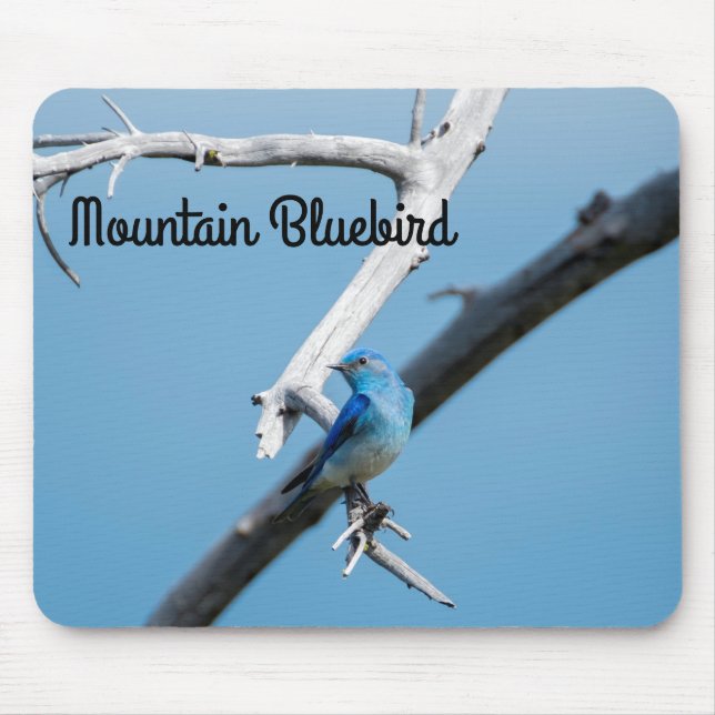 Mountain Bluebird Mouse Pad (Front)
